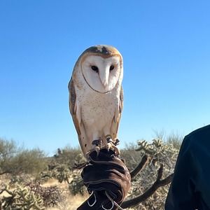 Meet your Posher, Carmen